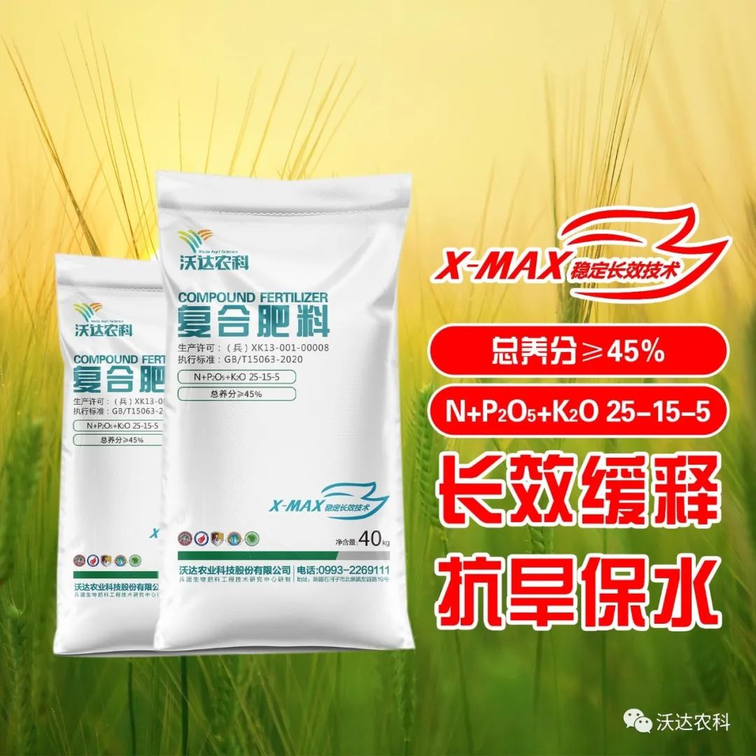 aa212833f2cf65a459efa10c7fc911a3.jpg