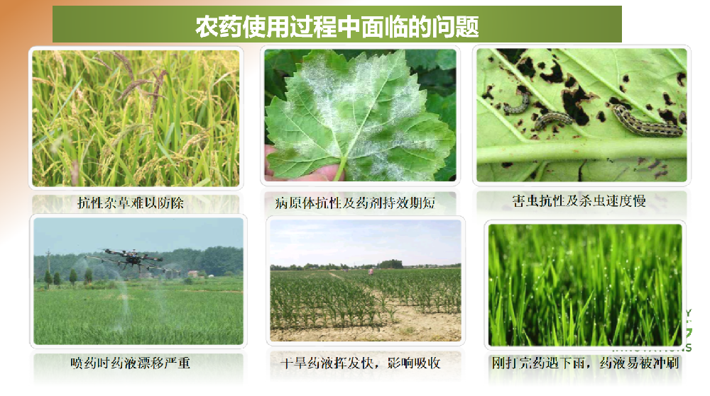 9cc5d39931a796f14ed4b84c04abe019.png