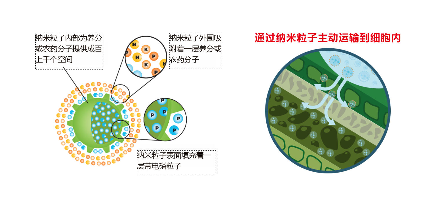 008671f80abfc165f13bbd374b9a0a0d.png