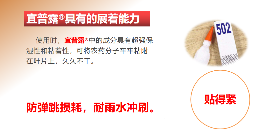808d8faa26074b6db817c319b002bbf9.png