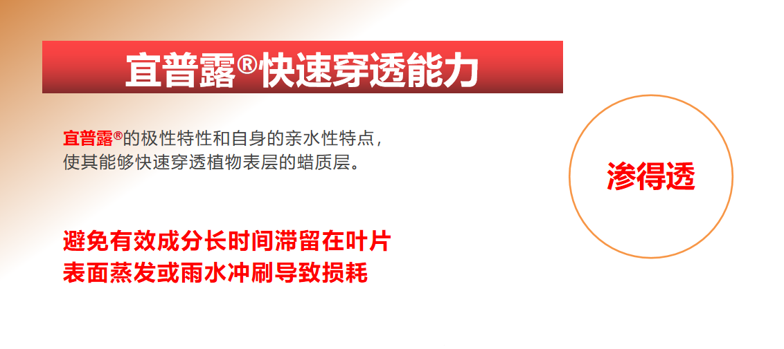 29a3d23bd64ff6600bdf41adec35d35f.png