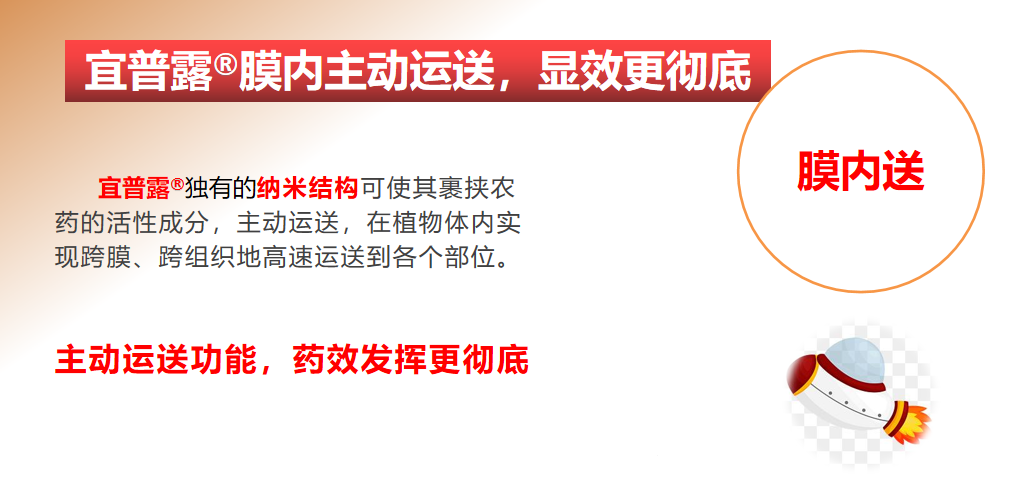 4166c8e92ea6931ddf9dfe19ffff2ea4.png