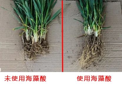 c7314801e17cbaca9ff6d689b0abfd18.jpg