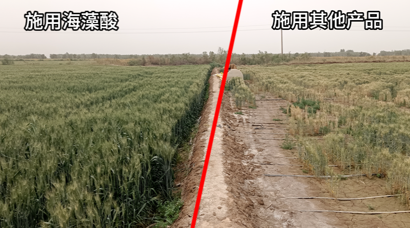 9f222934d7dfb39cac4507a6d03918eb.png